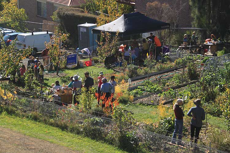 Community gardens